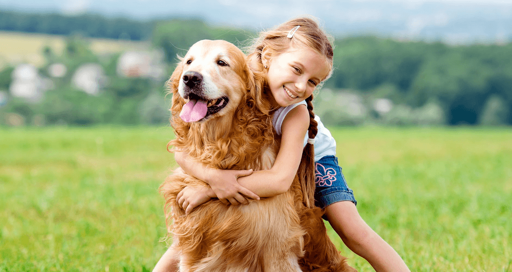 Fundior Pet Gifts: Thoughtful and Fun